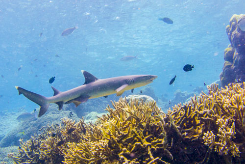 cocos keeling island photo tour example 22